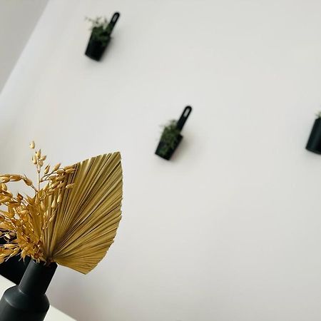Music & Love Apartments And Rooms Kattowitz Exterior foto